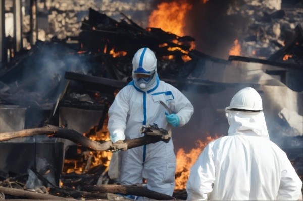 India's Hidden COVID Deaths: Uncovering the True Toll