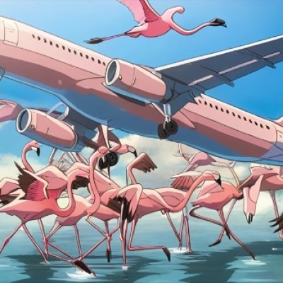 How and Why Do Flocks of Birds Collide with Airplanes?