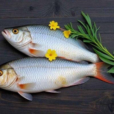 Fish Diplomacy Setback for India and Bangladesh